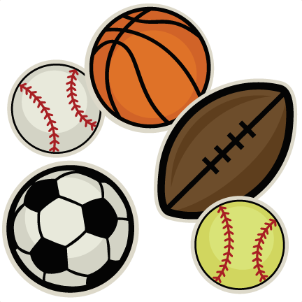 Types of Sports Ball Crazybadman carries