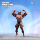 Women's Competition Posing Suit - 2-Piece (Figure/Physique/Fitness)