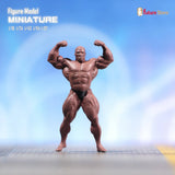 Women's Competition Posing Suit - 2-Piece (Figure/Physique/Fitness)
