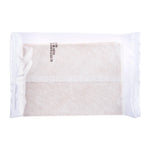 KAISER: Tung Hsieh Touku Balm Plaster (Clear) 10 pcs