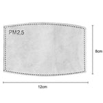 PM2.5 Disposable Filters