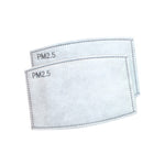 PM2.5 Disposable Filters